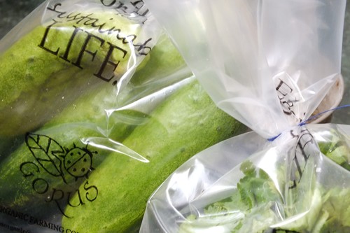 LDPE / LLDPE Films & Bags 13 biodegradable plastic bag 059